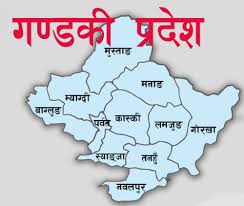 नेपालकी छैटौँ कोरोना सङ्क्रमित ६५ वर्षीया वृद्धाले जितिन कोरोनालाई