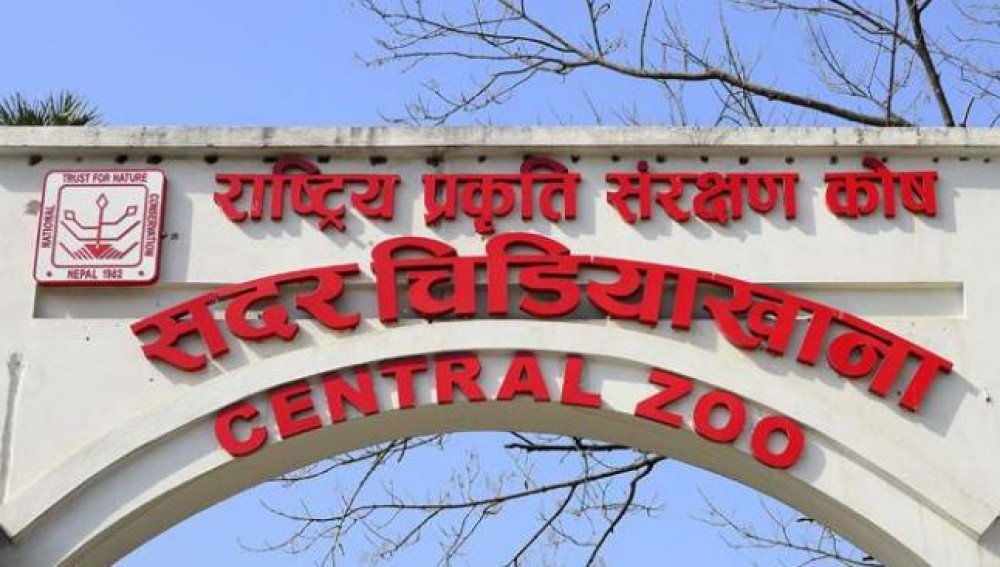 सदर चिडियाखाना एक साताका लागि बन्द