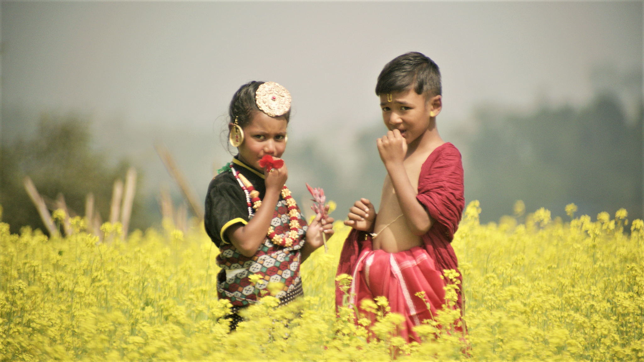 ‘के माया लाग्छ र ?’ र ‘तीनपाते’ को सफलतापछि गायक अंकित बाबु अधिकारीले ल्याए ‘याक्थुङ्मा कान्छी’