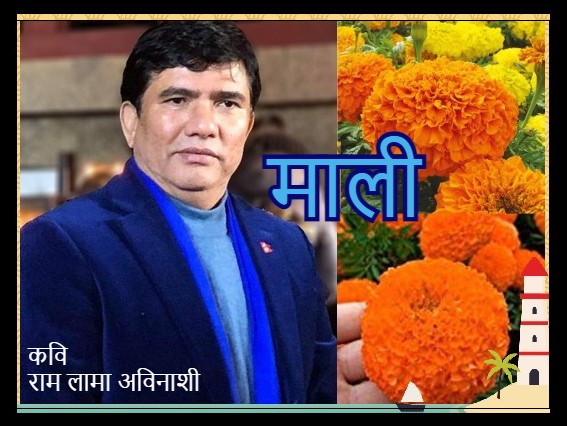 माली -कविता