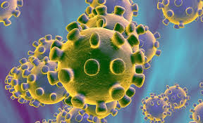 २४ घण्टामा नेपालमा एक हजार ४४ जनामा कोरोना संक्रमण पुष्टि, ११ को मृत्यु