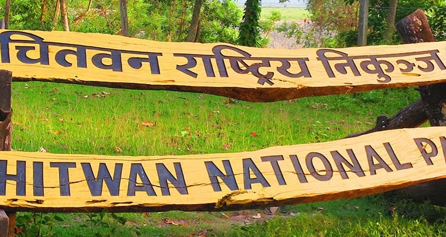 निकुञ्जको जागिरले बनायो पर्यटकीय होटलको मालिक
