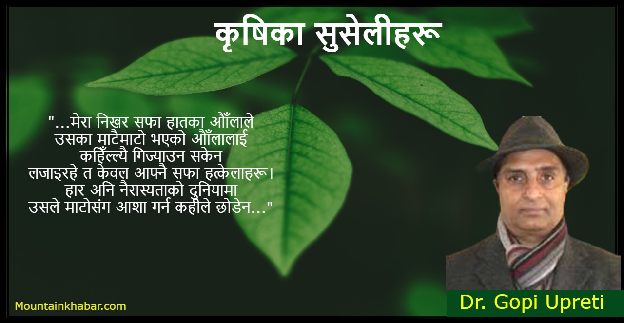 कृषिका सुसेलीहरू – समालोचना