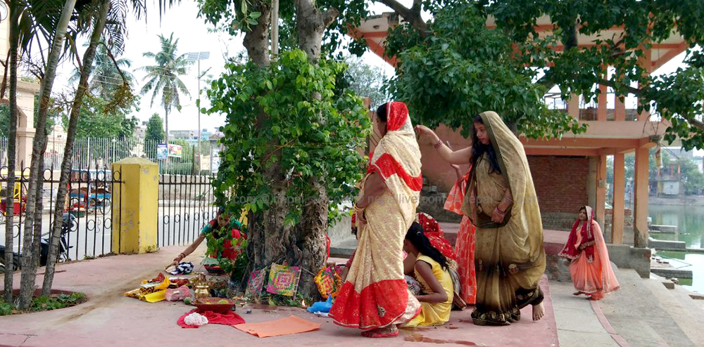विवाहित हिन्दू मैथिल नारी वटसावित्री पर्व मनाउँदै