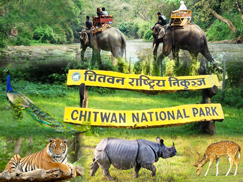 चितवन राष्ट्रिय निकुञ्जमा पर्यटकीय गतिविधि खुला