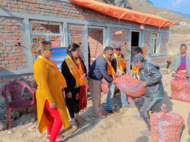 उत्तरगया गाउँपालिकाद्धारा किसानलाई अनुदानमा आलुको बिउँ उपलब्ध गराउन सुरु