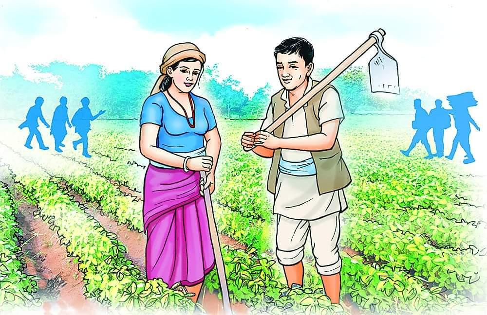 बैशाख ६ गतेदेखि रसुवामा कृषि गणना