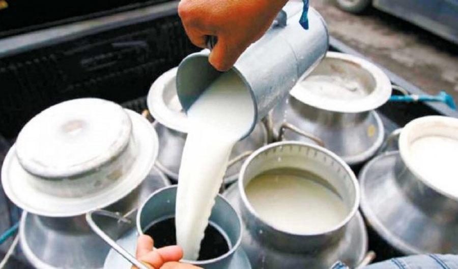 कालिका गाउँपालिकाले किसानलाई दुधमा प्रतिलिटर तिन रुपैयाँ अनुदान दिने