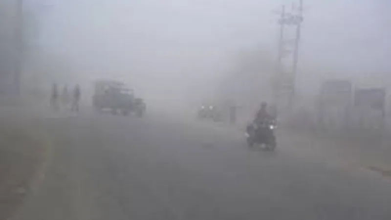 चिसो बढेपछि विराटनगरका शैक्षिक संस्था ३ दिन बन्द