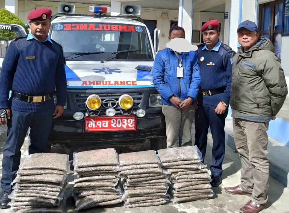 कोशी प्रदेशमा बढ्यो गाँजा ओसारपसार धन्दा, माघ यता दुई हजार किलो बरामद