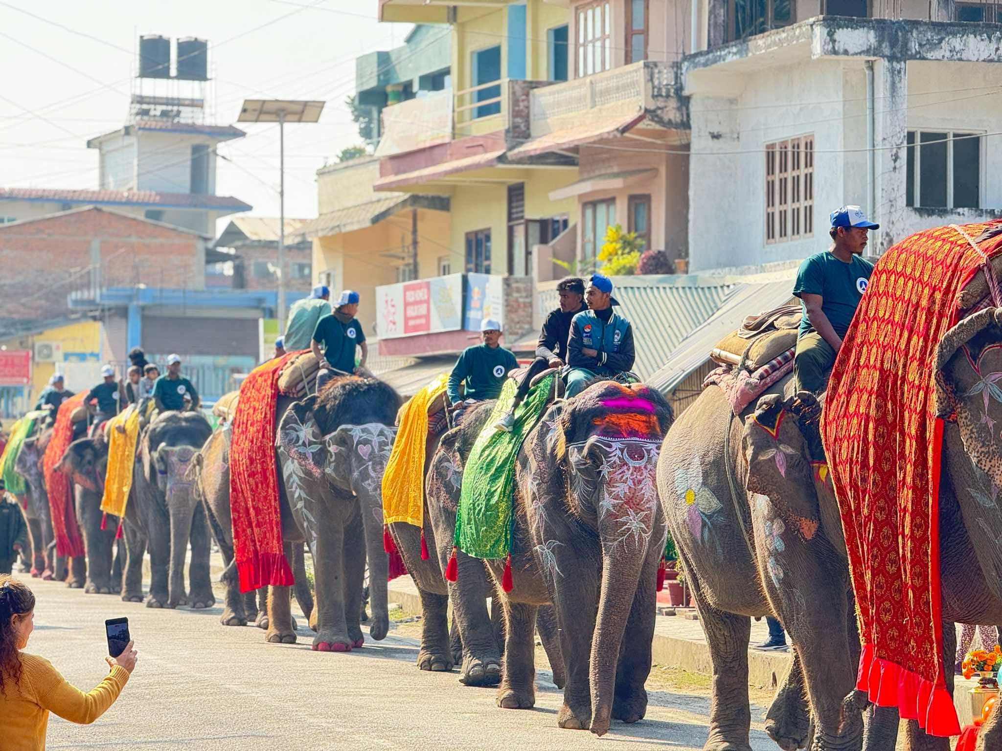 चितवनको सौराहामा आजदेखि हात्ती महोत्सव सुरु
