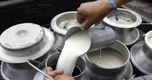 चितवनमा आजदेखि राष्ट्रिय ‘डेरी एक्स्पो’ हुँदै