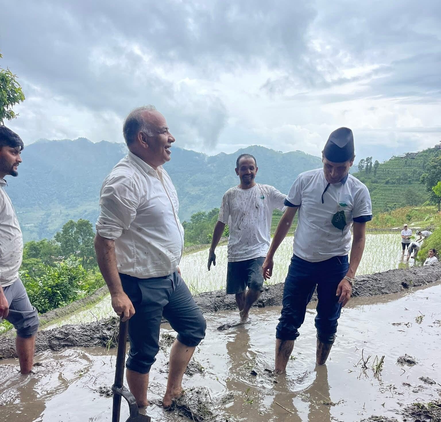 काँग्रेस केन्द्रीय सदस्य तथा सांसद मोहन आचार्य धान रोपाइँमा सहभागी -फोटो फिचर