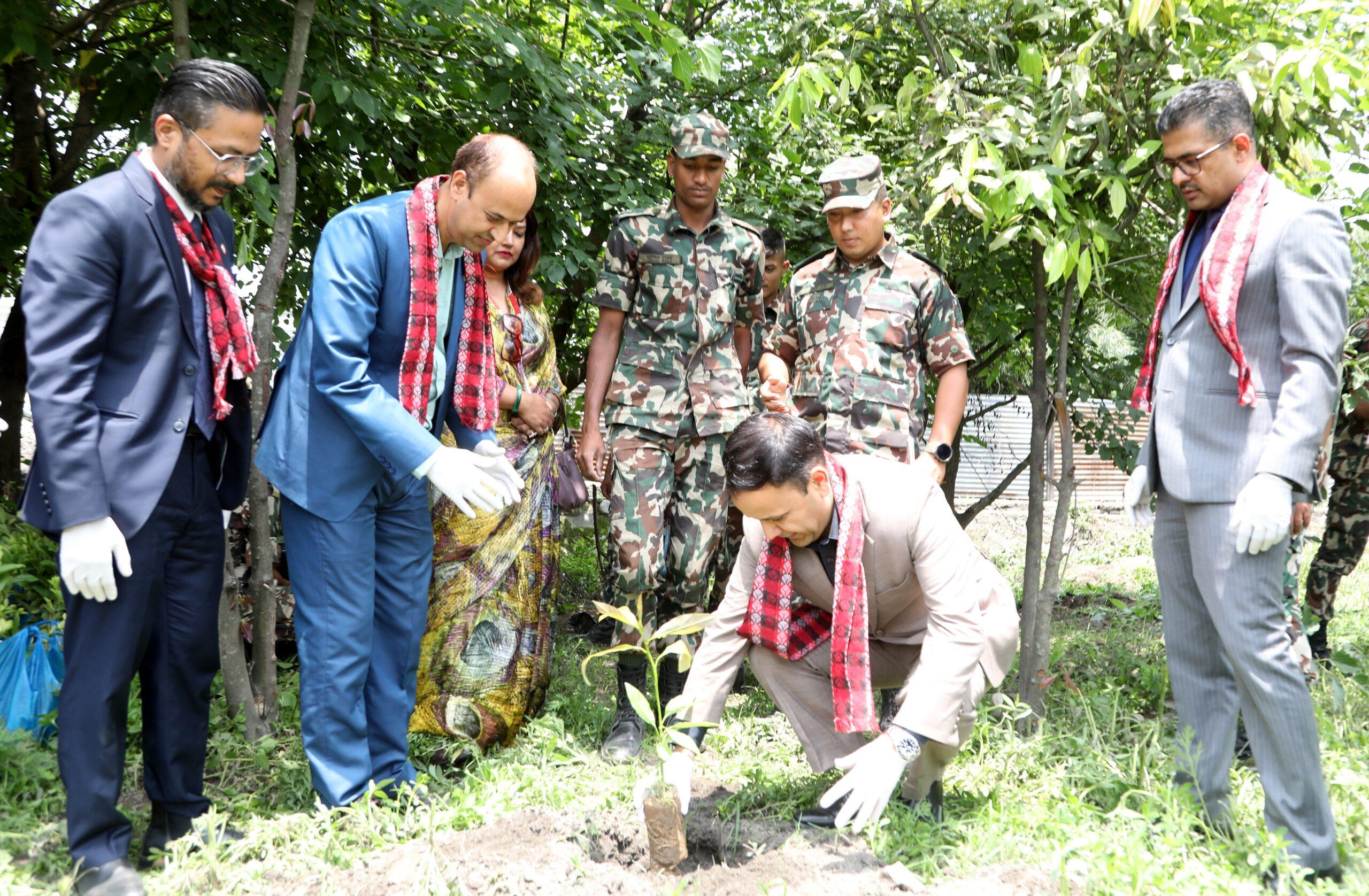 ग्लोबल आइएमई बैंकद्वारा विश्व वातावरण दिवसको अवसरमा