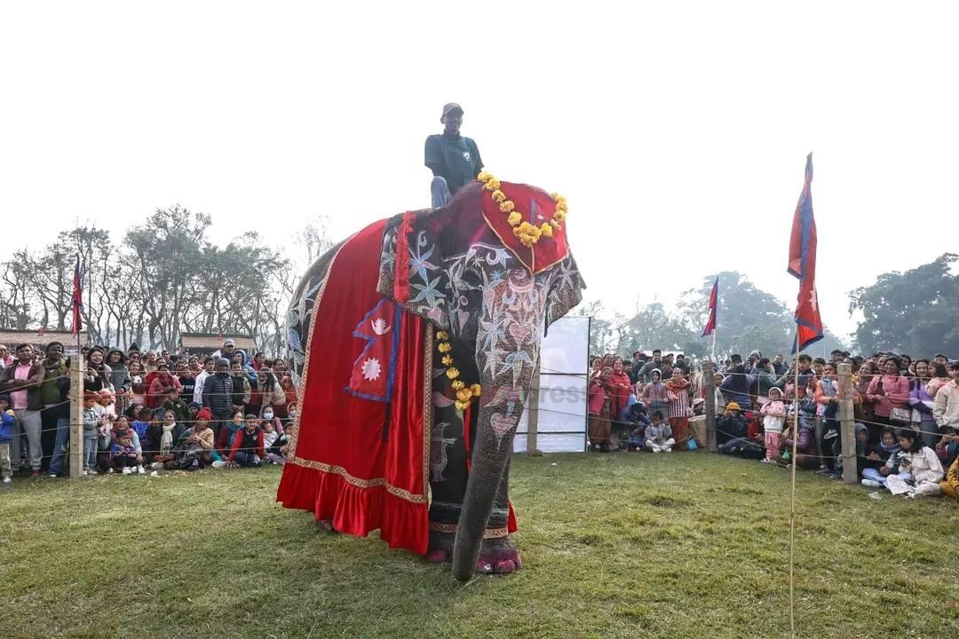 ‘मिस हात्ती सुन्दरी–२०८२’को उपाधि पुनमकलीलाई